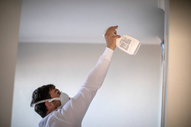 Best Mold Removal Near Me  in Wichita, KS