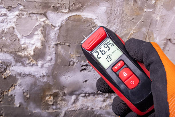 Office Mold Removal Services in Wichita, KS