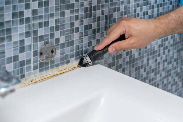 Best Office Mold Removal Services  in Wichita, KS