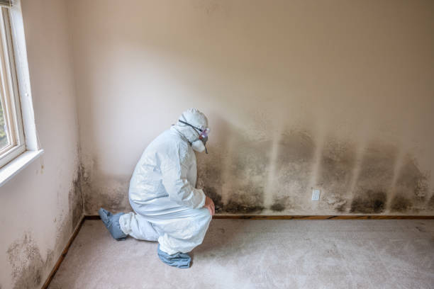 Best Crawl Space Mold Removal  in Wichita, KS