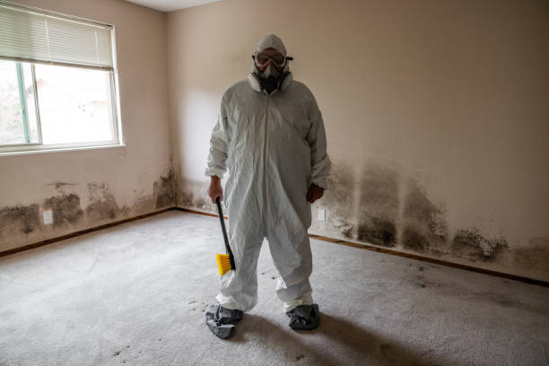 Best Office Mold Removal Services  in Wichita, KS